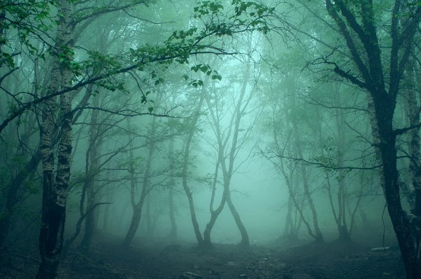 左央最后怎么样了？她现在怎么样了？