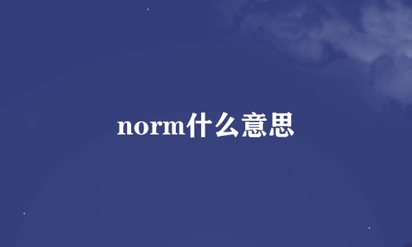 norm什么意思