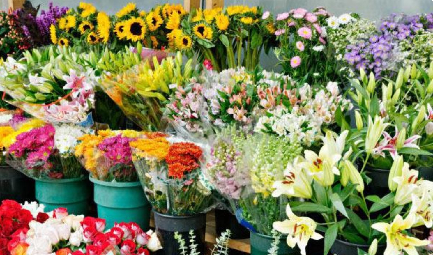 学开花店去哪学？