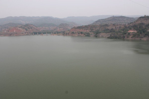 尼斯湖水怪可能是巨型鳗鱼,那这种鳗鱼得有多庞大?
