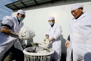 粉条的制作方法