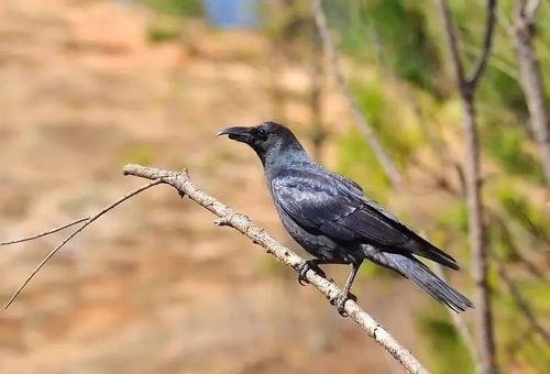 感怀是什么意思?
