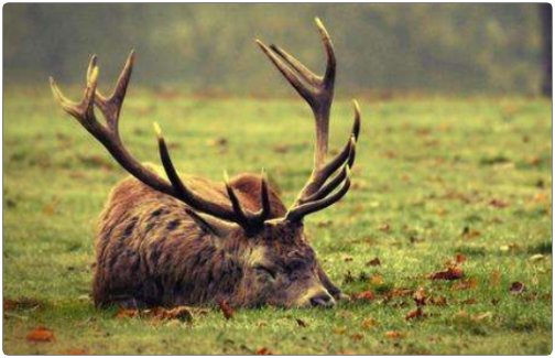 不绝如缕意思是什么