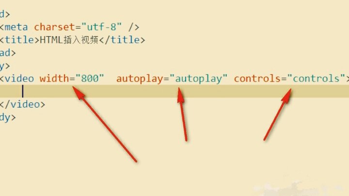 怎样在网页中播放视频 ?