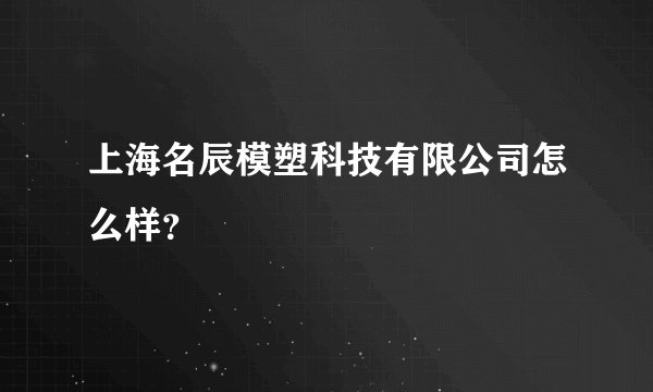 上海名辰模塑科技有限公司怎么样？