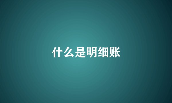 什么是明细账