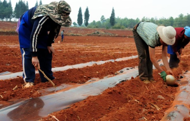 点播是什么意思？