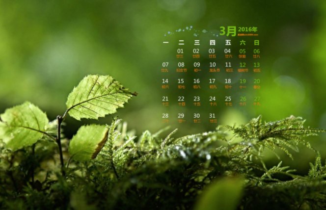 一个自然年是什么意思？6月20日开始，同一自然年内，是到什么时间为止？求解答，拜托了