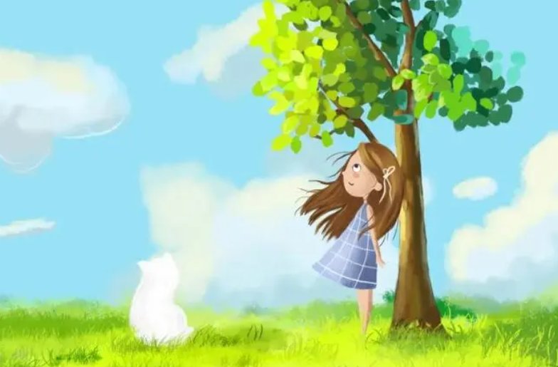 count是什么意思