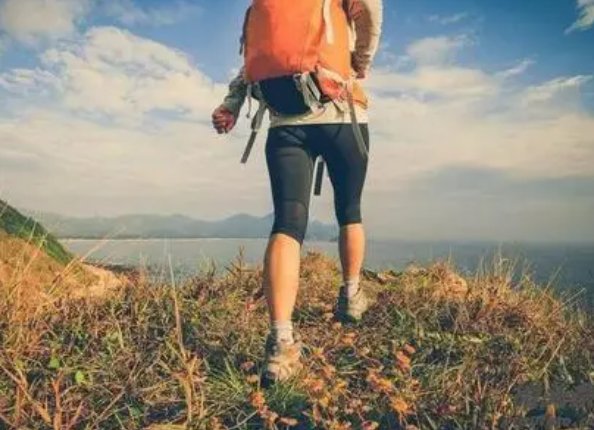 traveler是什么意思