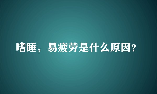 嗜睡，易疲劳是什么原因？