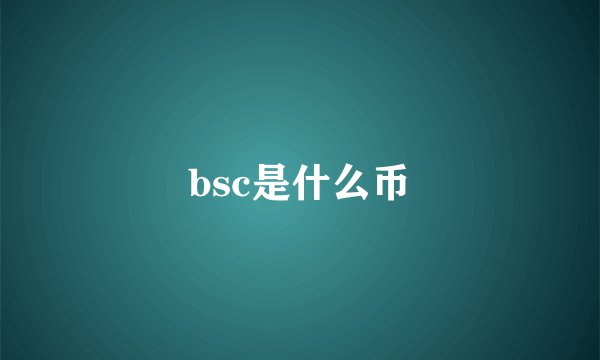 bsc是什么币