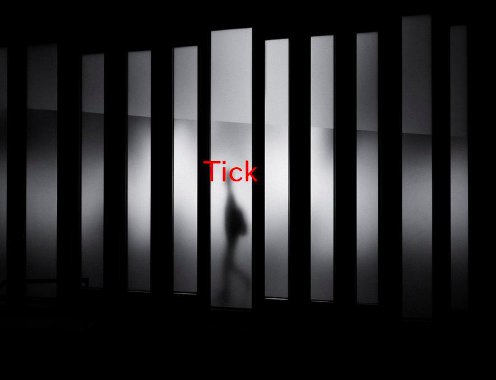 tick 是什么意思？