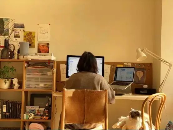 北京石景山：全区实行居家办公，居家办公以后会成为常态吗？