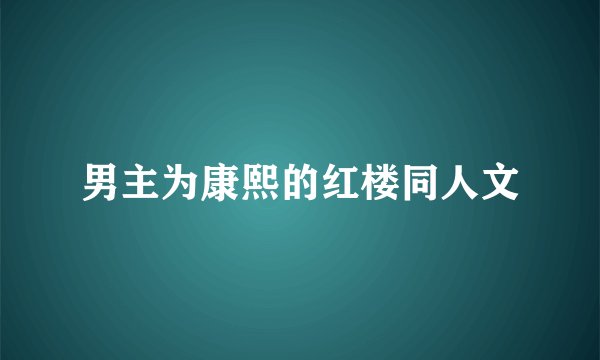 男主为康熙的红楼同人文