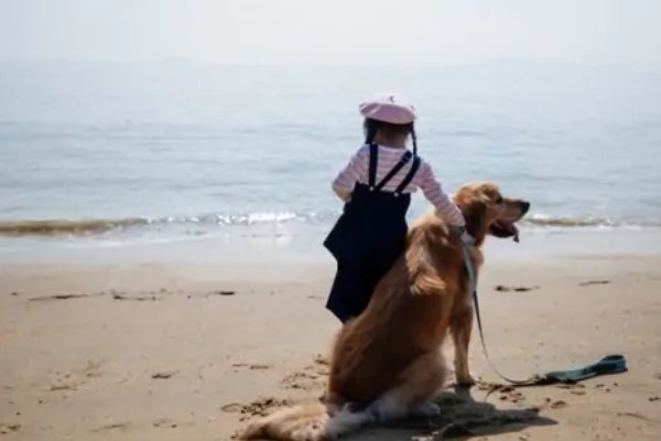 厦门旅游必去十大景点