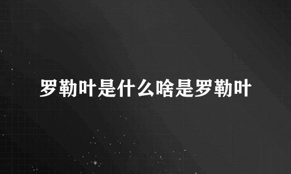 罗勒叶是什么啥是罗勒叶