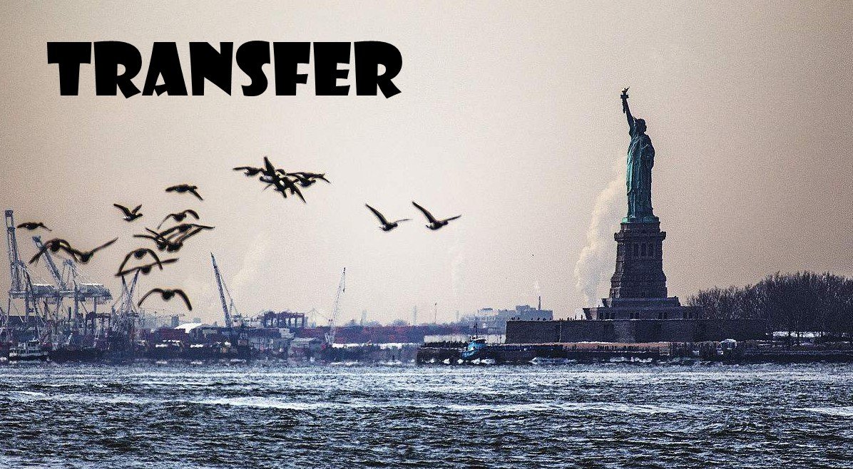 transfer的中文是什么意思