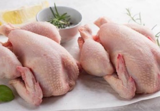 蛋白质含量高的食物有哪些？