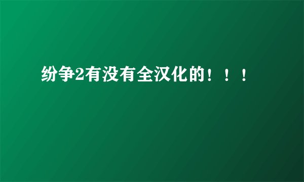 纷争2有没有全汉化的！！！