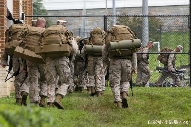 美国纽约州水牛城发生枪击案,该案件造成了多大的伤亡情况?