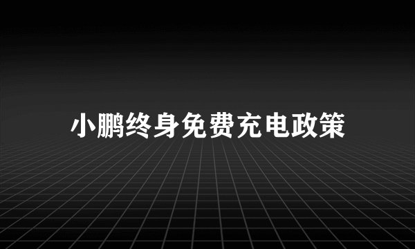 小鹏终身免费充电政策