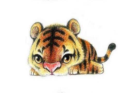 虎代表什么生肖？