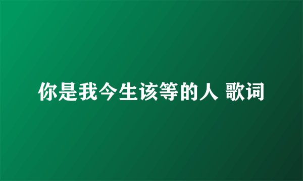 你是我今生该等的人 歌词