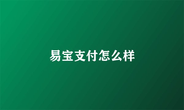 易宝支付怎么样
