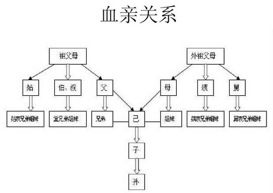 血缘关系是什么意思?