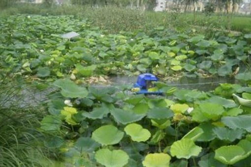 一般的农村生活污水处理方法有哪些？