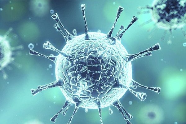 感冒病毒在沸水中会被杀死吗？谢谢！