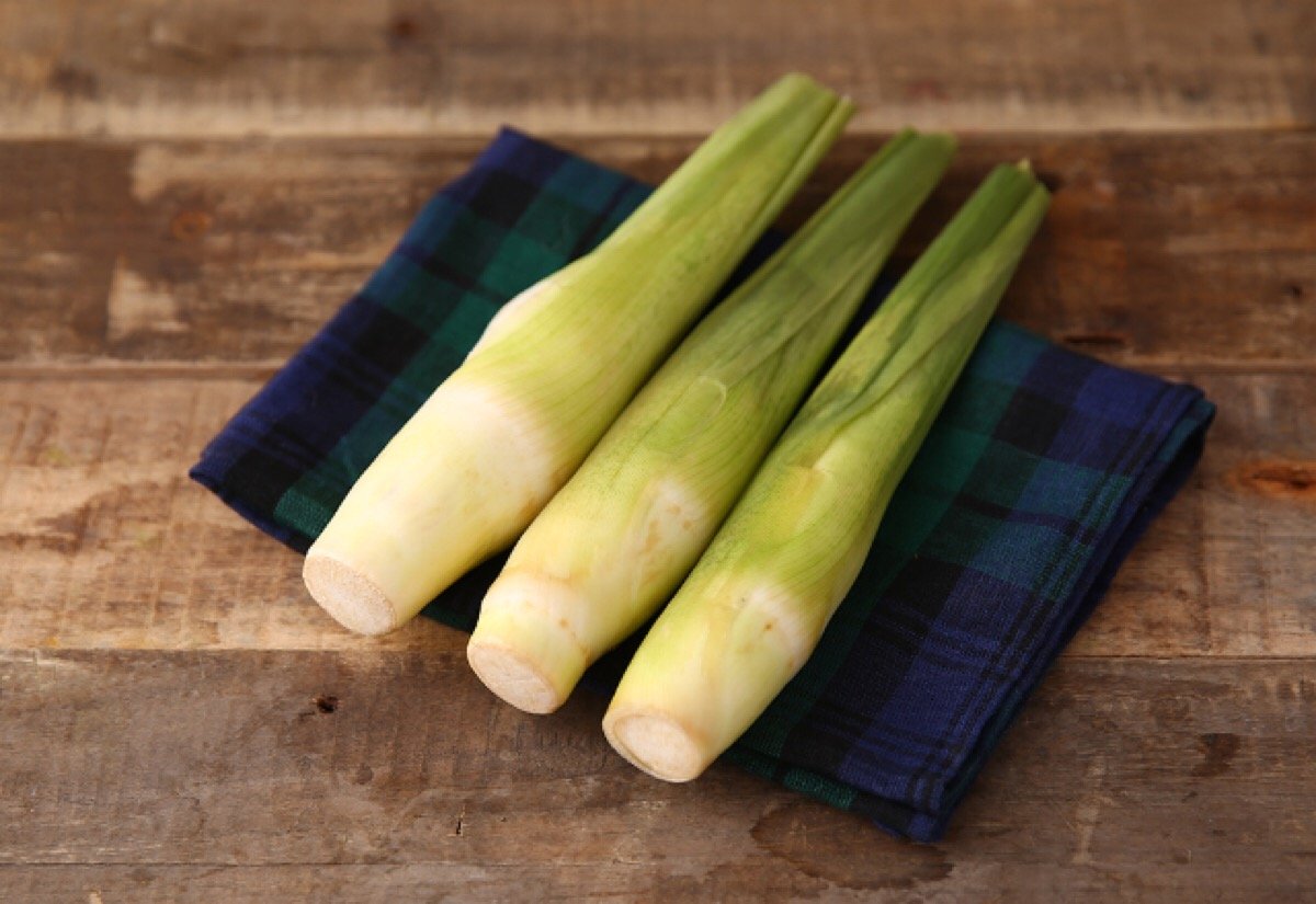 茭白是什么 茭白的功效与作用