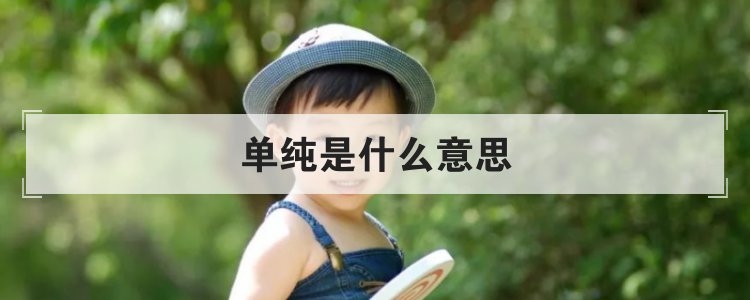 单纯是什么意思