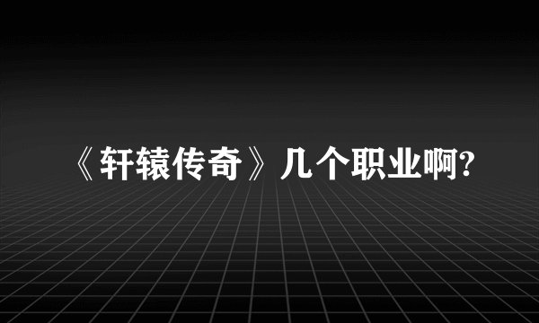 《轩辕传奇》几个职业啊?