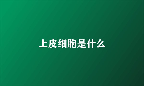 上皮细胞是什么