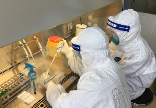 核酸检测过程？