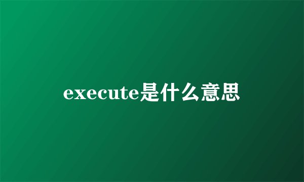 execute是什么意思