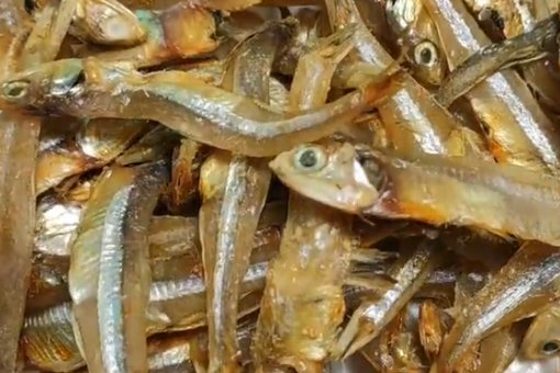 劲仔小鱼的制作过程