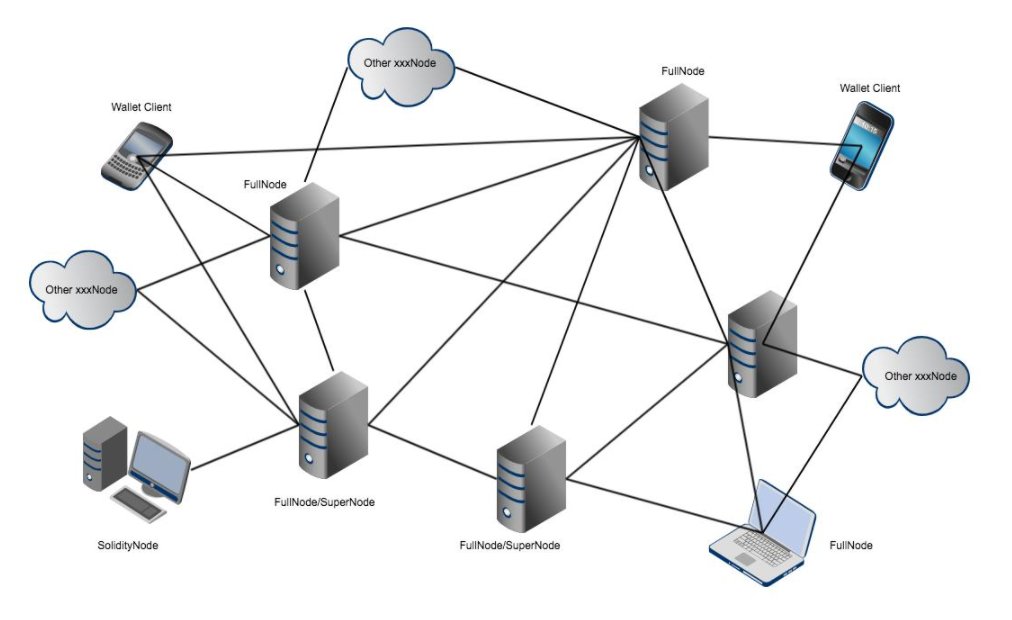波场网络是什么