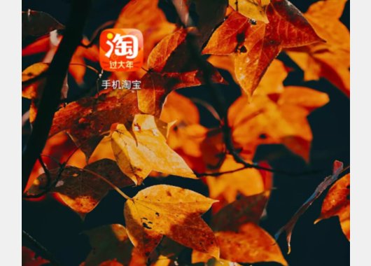 怎么下载淘宝官方网站？