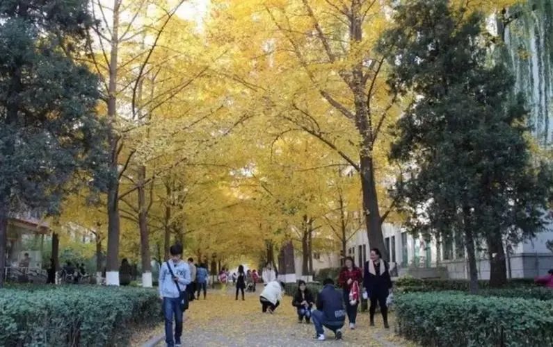 学院路八大院校是什么?