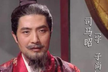 司马昭之心路人皆知是什么意思？