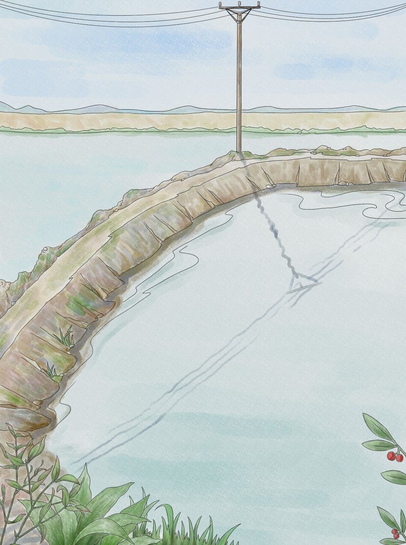 常见的灌溉工程有哪些？