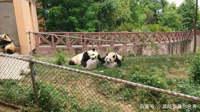 成都有哪些好玩的地方？