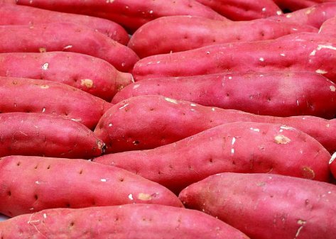 红薯可以减肥吗?