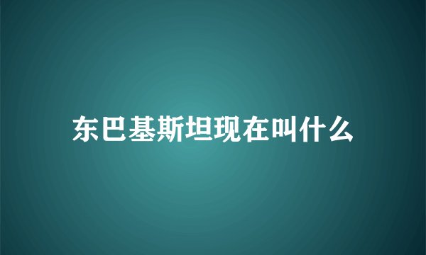 东巴基斯坦现在叫什么