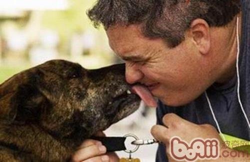 为什么狗狗也会有心事？