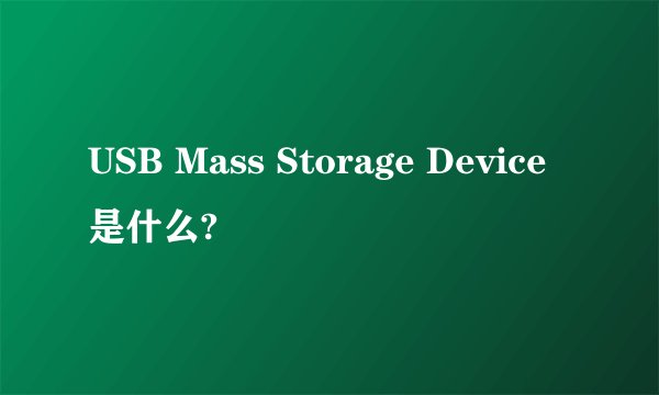 USB Mass Storage Device是什么?