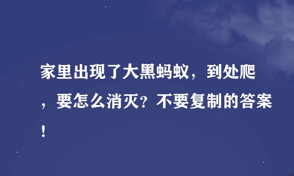 家里出现了大黑蚂蚁，到处爬，要怎么消灭？不要复制的答案！
